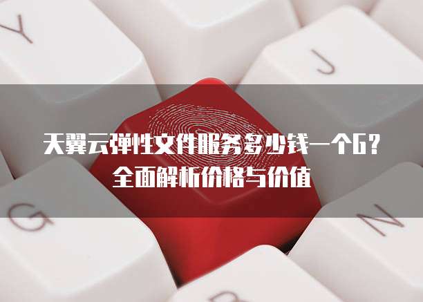 天翼云弹性文件服务多少钱一个G?全面解析价格与价值