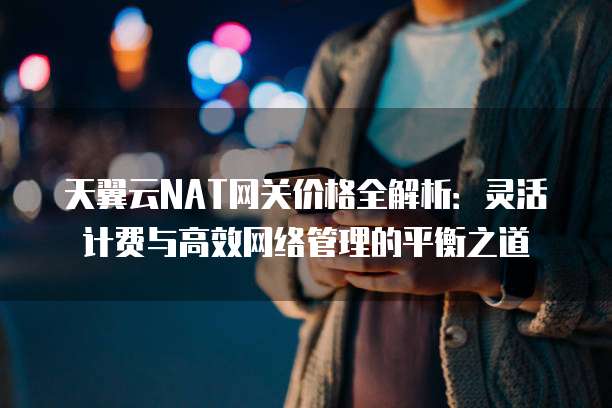 天翼云NAT网关价格全解析:灵活计费与高效网络管理的平衡之道