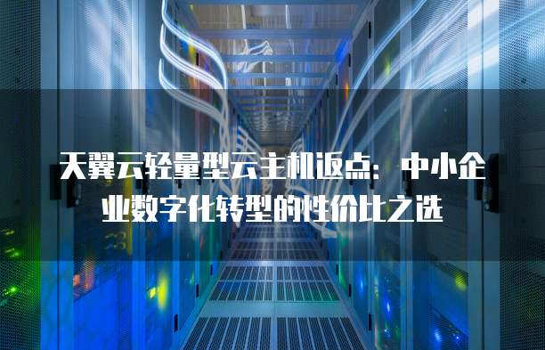 天翼云轻量型云主机返点:中小企业数字化转型的性价比之选