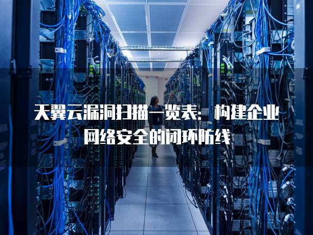 天翼云漏洞扫描一览表：构建企业网络安全的闭环防线