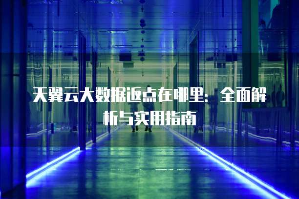 天翼云大数据返点在哪里:全面解析与实用指南