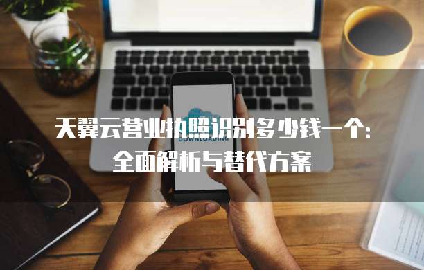 天翼云营业执照识别多少钱一个:全面解析与替代方案