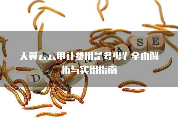 天翼云云审计费用是多少？全面解析与实用指南