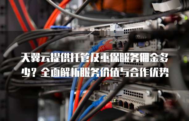 天翼云提供托管及重保服务佣金多少?全面解析服务价值与合作优势