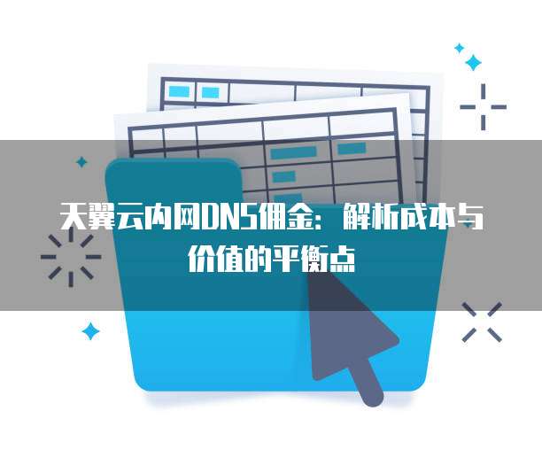 天翼云内网DNS佣金:解析成本与价值的平衡点