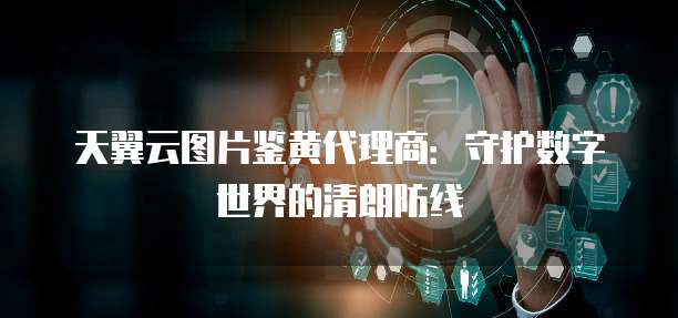 天翼云图片鉴黄代理商:守护数字世界的清朗防线