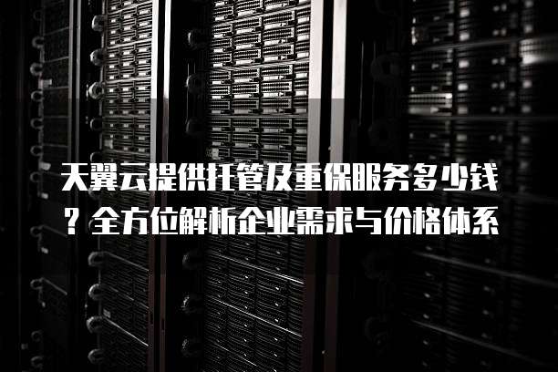 天翼云提供托管及重保服务多少钱?全方位解析企业需求与价格体系