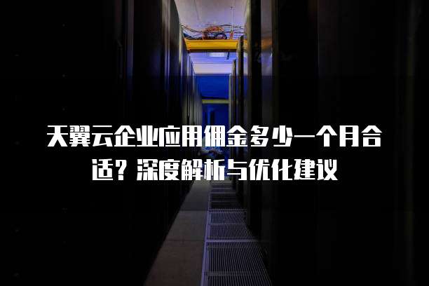 天翼云企业应用佣金多少一个月合适?深度解析与优化建议