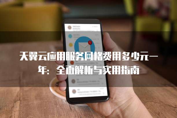 天翼云应用服务网格费用多少元一年：全面解析与实用指南