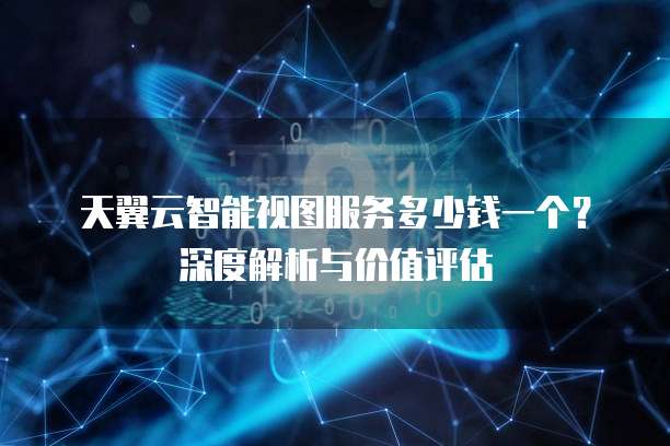 天翼云智能视图服务多少钱一个?深度解析与价值评估