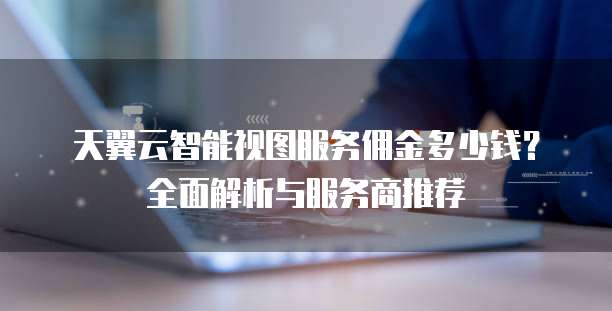 天翼云智能视图服务佣金多少钱?全面解析与服务商推荐
