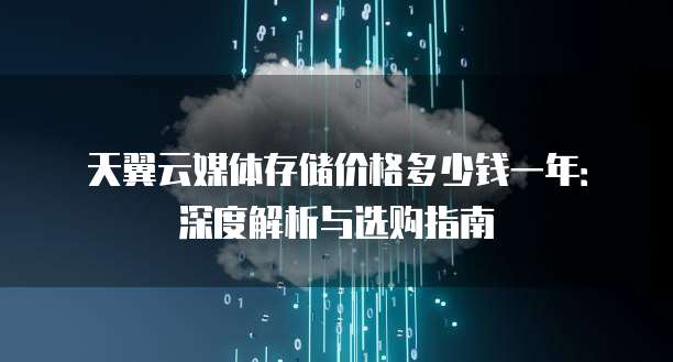 天翼云媒体存储价格多少钱一年：深度解析与选购指南