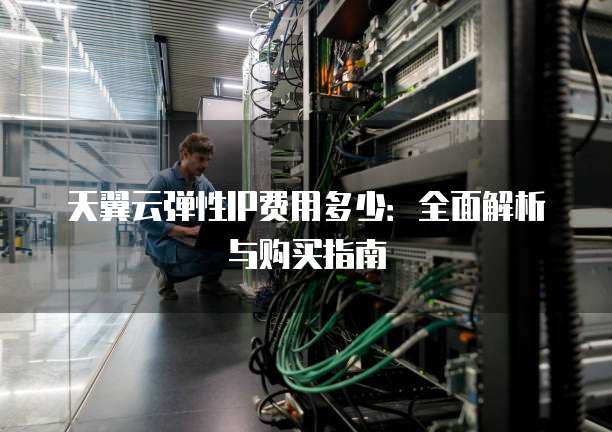 天翼云弹性IP费用多少:全面解析与购买指南