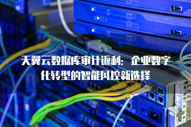 天翼云数据库审计返利:企业数字化转型的智能风控新选择