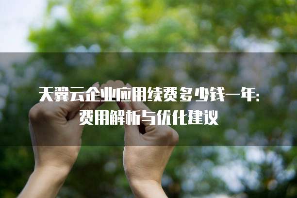 天翼云企业应用续费多少钱一年:费用解析与优化建议