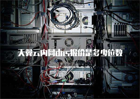 天翼云内网dns报价是多少位数