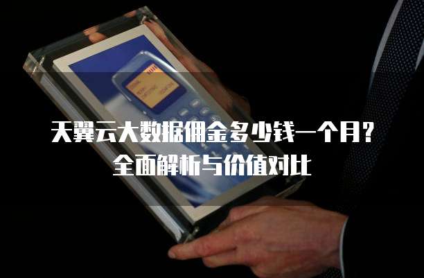 天翼云大数据佣金多少钱一个月?全面解析与价值对比