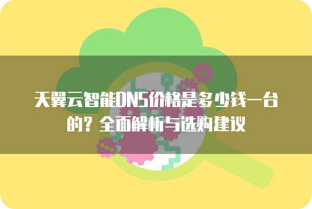 天翼云智能DNS价格是多少钱一台的?全面解析与选购建议