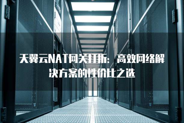 天翼云NAT网关打折:高效网络解决方案的性价比之选