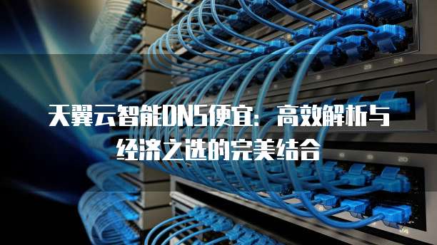 天翼云智能DNS便宜:高效解析与经济之选的完美结合