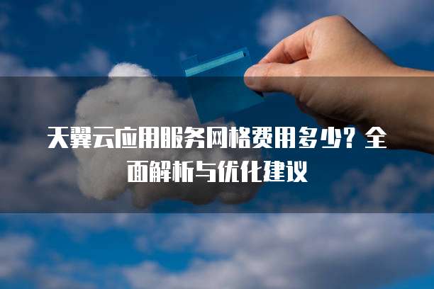 天翼云应用服务网格费用多少?全面解析与优化建议