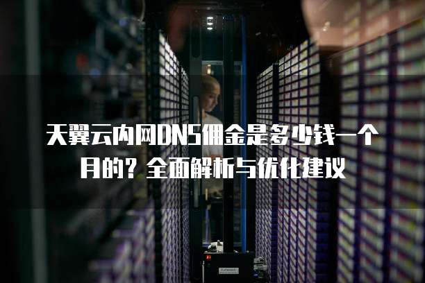 天翼云内网DNS佣金是多少钱一个月的?全面解析与优化建议