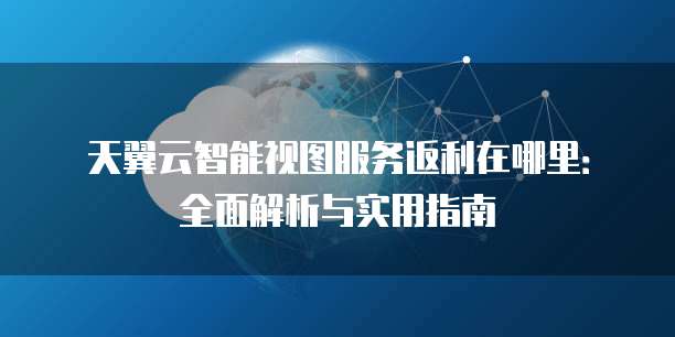 天翼云智能视图服务返利在哪里:全面解析与实用指南
