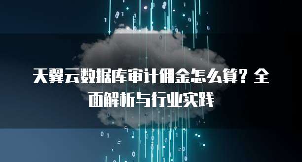 天翼云数据库审计佣金怎么算？全面解析与行业实践