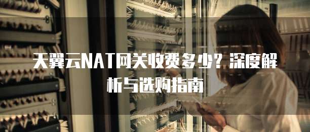 天翼云NAT网关收费多少?深度解析与选购指南