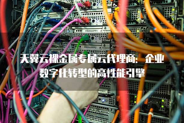 天翼云裸金属专属云代理商:企业数字化转型的高性能引擎