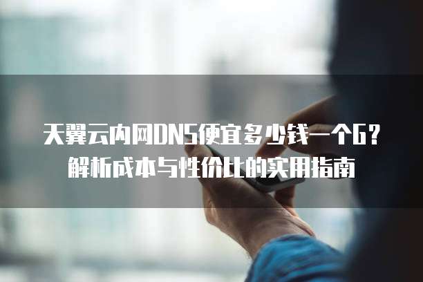 天翼云内网DNS便宜多少钱一个G?解析成本与性价比的实用指南