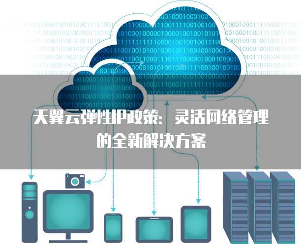 天翼云弹性IP政策:灵活网络管理的全新解决方案