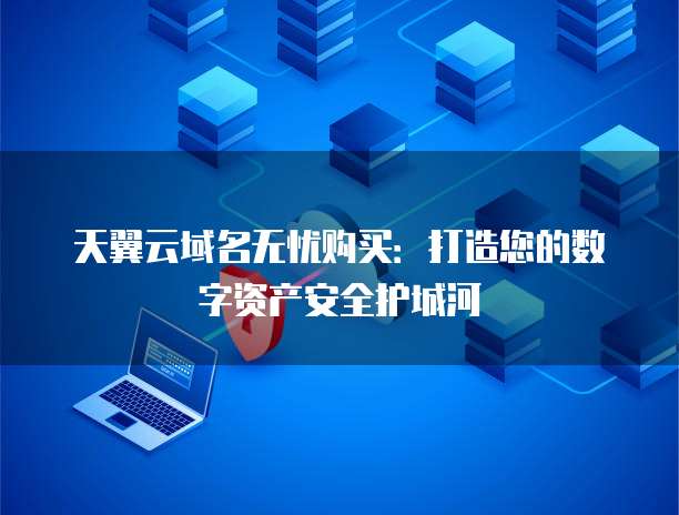 天翼云域名无忧购买：打造您的数字资产安全护城河