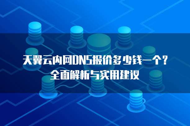 天翼云内网DNS报价多少钱一个？全面解析与实用建议