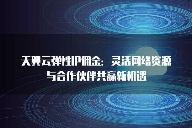 天翼云弹性IP佣金:灵活网络资源与合作伙伴共赢新机遇