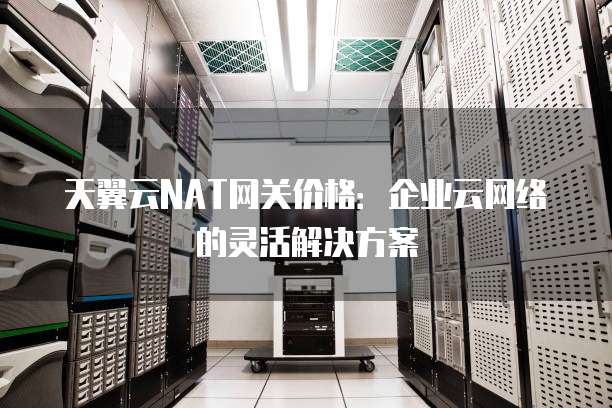 天翼云NAT网关价格：企业云网络的灵活解决方案