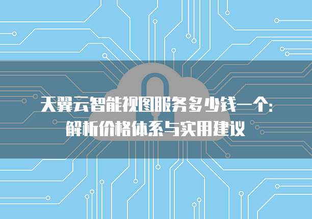 天翼云智能视图服务多少钱一个:解析价格体系与实用建议