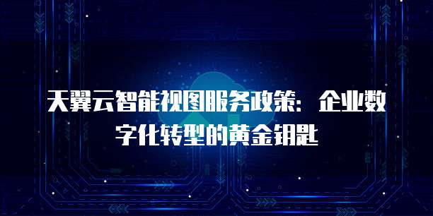 天翼云智能视图服务政策:企业数字化转型的黄金钥匙
