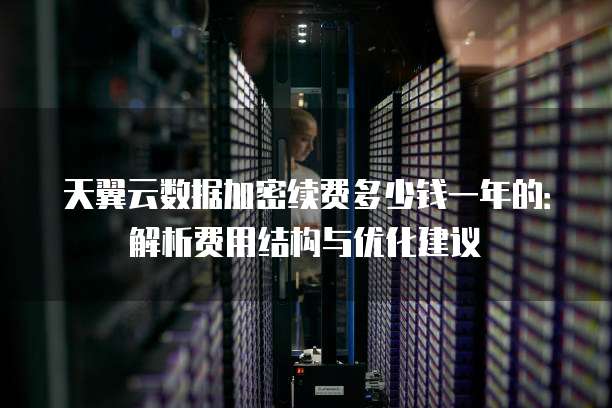 天翼云数据加密续费多少钱一年的:解析费用结构与优化建议