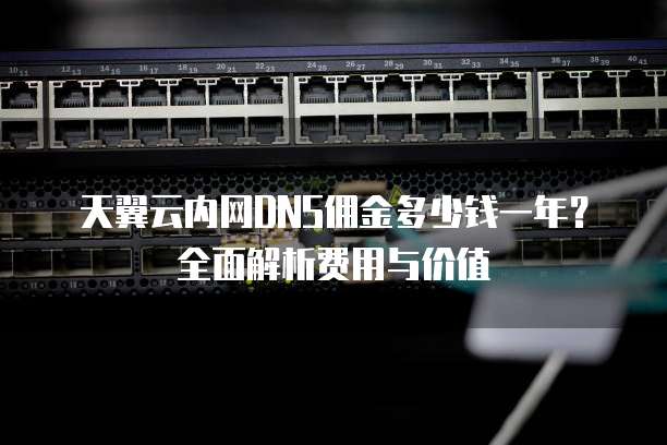 天翼云内网DNS佣金多少钱一年？全面解析费用与价值