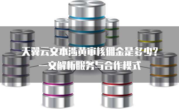 天翼云文本涉黄审核佣金是多少?一文解析服务与合作模式