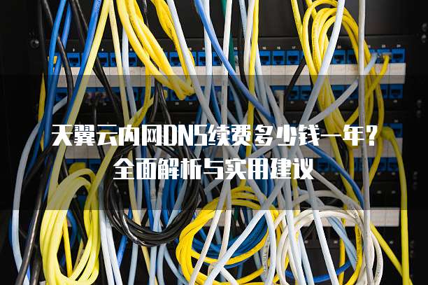 天翼云内网DNS续费多少钱一年？全面解析与实用建议