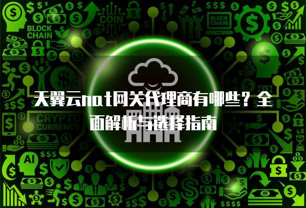 天翼云nat网关代理商有哪些?全面解析与选择指南