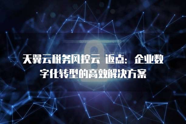 天翼云税务风控云 返点:企业数字化转型的高效解决方案