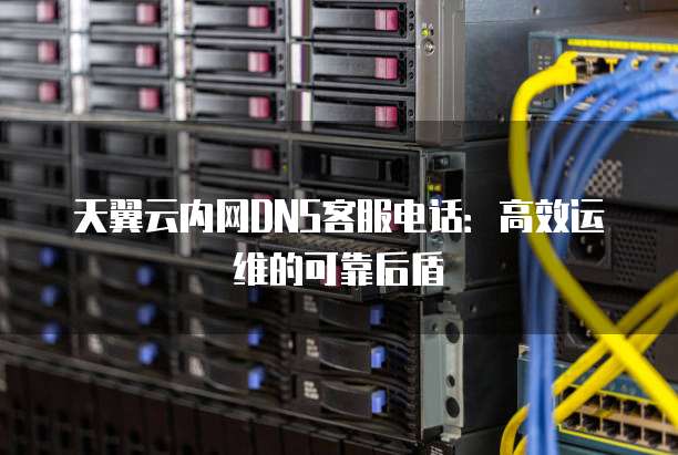 天翼云内网DNS客服电话:高效运维的可靠后盾