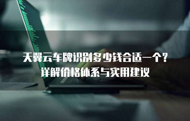 天翼云车牌识别多少钱合适一个?详解价格体系与实用建议