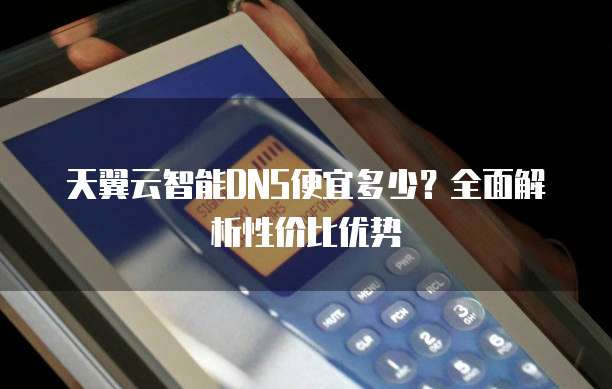 天翼云智能DNS便宜多少?全面解析性价比优势