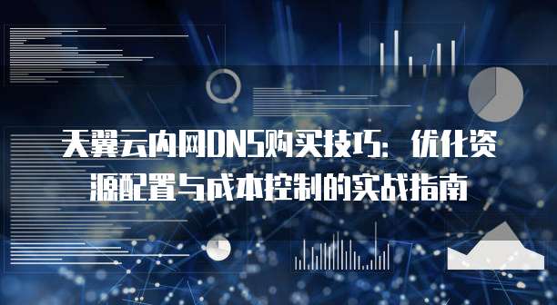 天翼云内网DNS购买技巧:优化资源配置与成本控制的实战指南