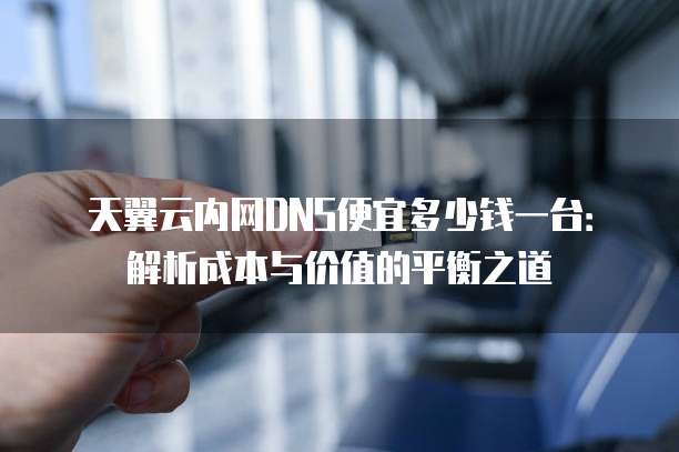 天翼云内网DNS便宜多少钱一台:解析成本与价值的平衡之道