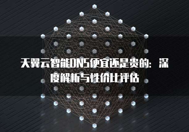 天翼云智能DNS便宜还是贵的：深度解析与性价比评估